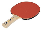 Donic-Schildkröt Appelgren Level 300 Table Tennis Racket